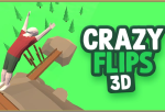 Crazy Flips 3D